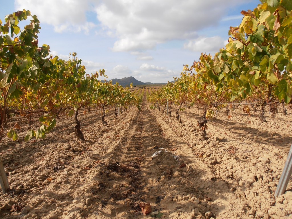 Autor: Aurelio Pinazo